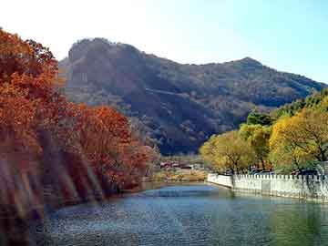 管家婆免费正版资起大全，钢塑土工格栅价格